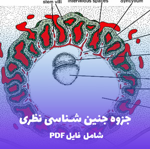 جزوه جنین شناسی نظری PDF | مرجع کامل و کاربردی برای دانشجویان