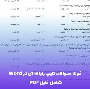 نمونه سوالات تایپ رایانه ای در نرم افزار Word | سریع تر استخدام شوید