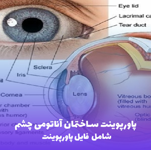 پاورپوینت ساختمان آناتومی چشم | دانلود سریع پاورپوینت