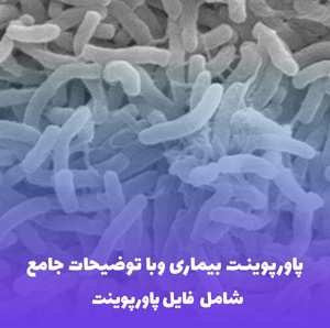 پاورپوینت بیماری وبا توضیحات جامع | فایل کامل و قابل ویرایش