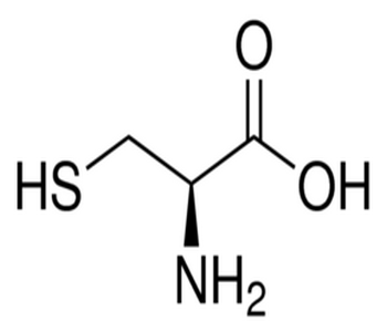 پاورپوینت درباره (Proteins and Amino acids)  آمینو اسید و پروتئین ها
