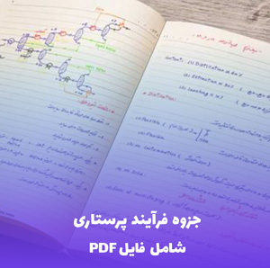 جزوه فرآیند پرستاری (PDF) | کامل و کاربردی برای دانشجویان