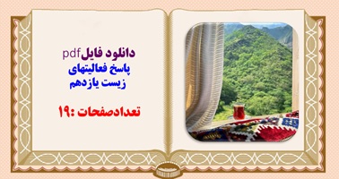 پاسخ فعالیتهای زیست یازدهم تعدادصفحات :19